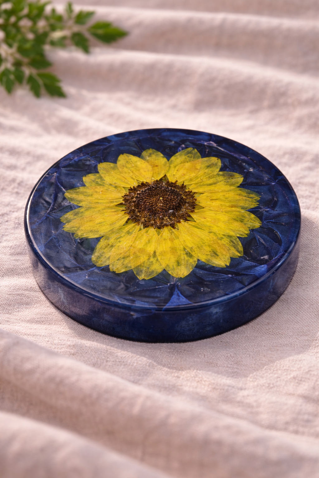 Pressed Flower Resin Coasters – Set of 5 | Real Sunflowers & Cosmos | Deep Blue